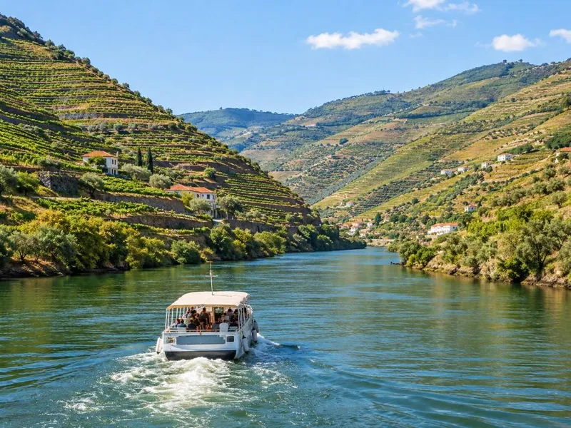 Douro Valley Classic: Boat, Tastings & Lunch
